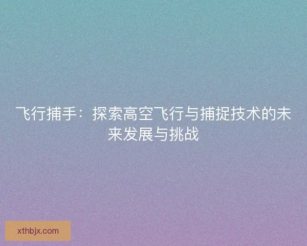 飞行捕手：探索高空飞行与捕捉技术的未来发展与挑战