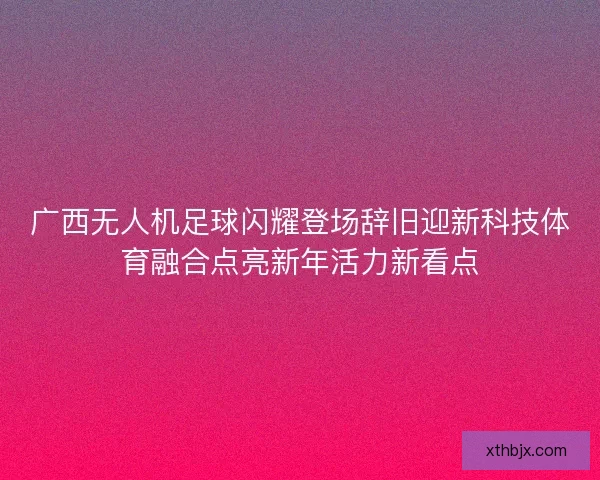 广西无人机足球闪耀登场辞旧迎新科技体育融合点亮新年活力新看点